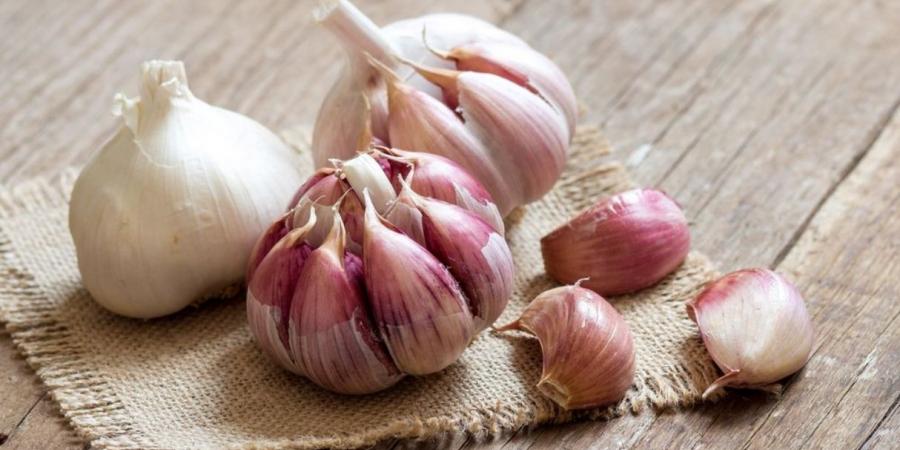 لن
      تتخيل
      ماذا
      يحدث
      لجسمك
      عند
      تناول
      الثوم
      كل
      يوم؟