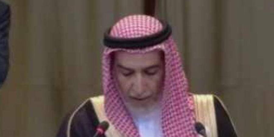 ممثل السعودية بالعدل الدولية: لا تبرير لقتل آلاف الأبرياء وتهجيرهم من غزة