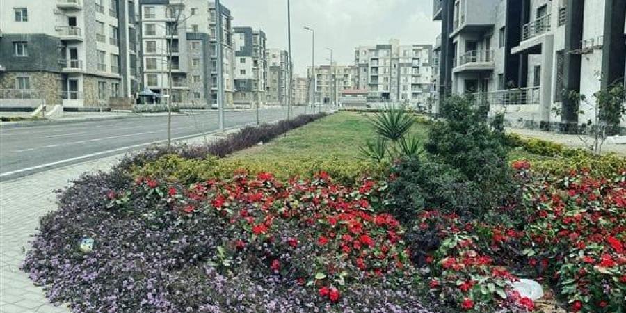 موعد
      غلق
      باب
      التقديم
      على
      شقق
      جنة
      مصر
      الطرح
      التكميلي