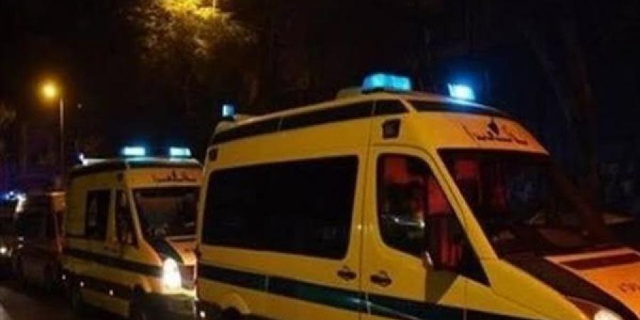 مصرع
      شخص
      وإصابة
      4
      في
      حادث
      مروري
      بالوادي
      الجديد