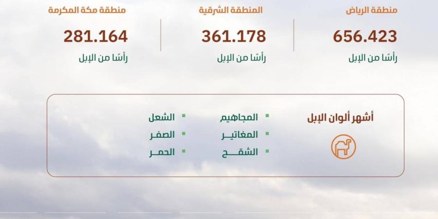 2.2 مليون رأس من الإبل تجسد أهمية الموروث الوطني السعودي