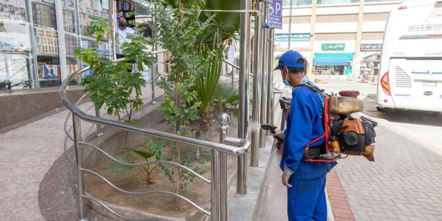 أمانة العاصمة المقدسة تعزز أعمال الإصحاح البيئي للارتقاء بالخدمات