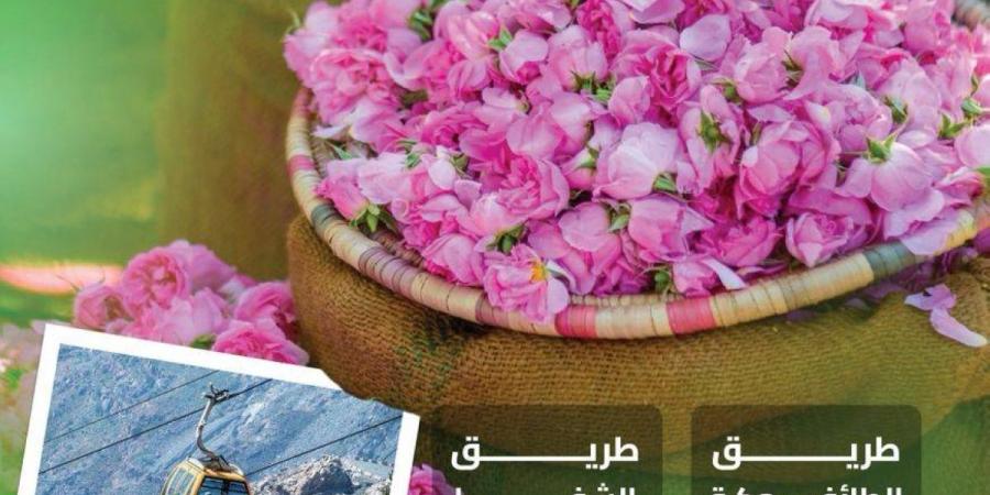 تطور شبكة الطرق المؤدية إلى الطائف يعزز من نمو وازدهار السياحة في عروس المصائف