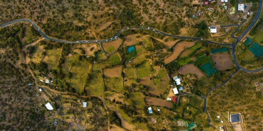 صيف الطائف.. خيارات وتجارب متنوعة بين الطبيعة والمغامرة والترفيه