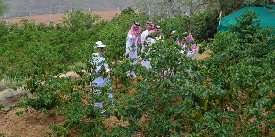إطلاق مبادرة لتعزيز التنمية الزراعية والسياحة البيئية في عسير