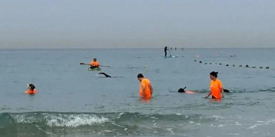 إسرائيل تبحث عن هاتف المدعية العامة العسكرية السابقة في البحر