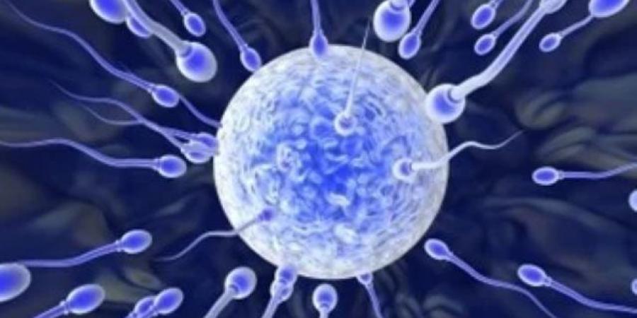 بسبب طفرة جينية.. المتبرع القاتل: أب لـ197 طفلاً يحمل طفرة سرطانية قاتلة تهز أوروبا