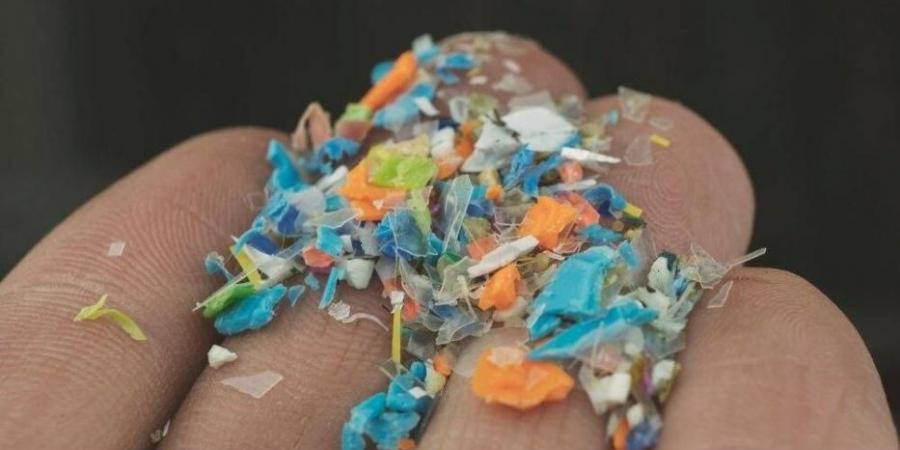 «بصمة بيولوجية» للبلاستيك تصيب الأبناء بأمراض القلب والسكر