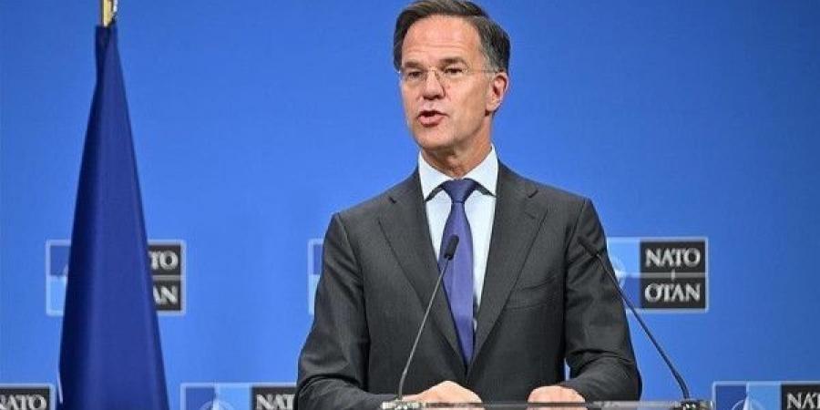 أمين عام الناتو يطمئن ترامب: حلفاء الولايات المتحدة سيقفون إلى جانب واشنطن في أي