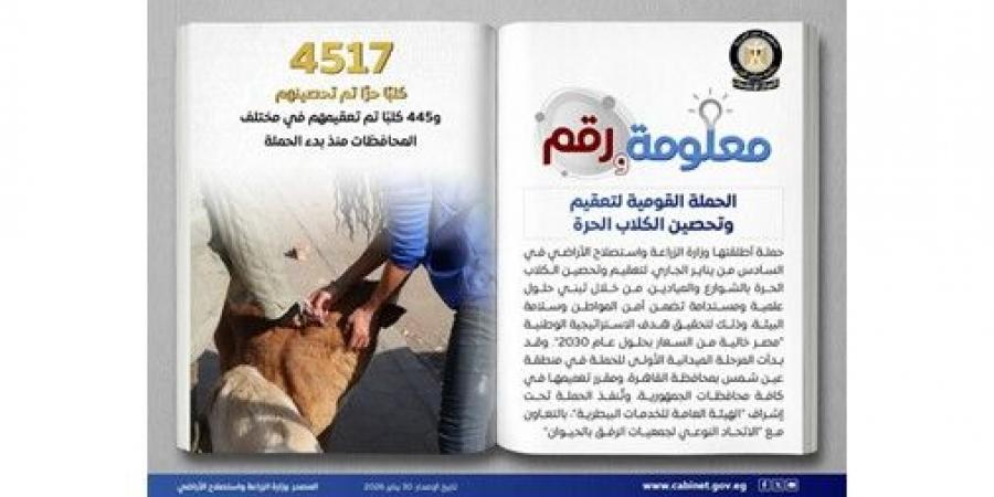 مجلس الوزراء: وزارة الزراعة تُطلق الحملة القومية لتعقيم وتحصين الكلاب الحرة