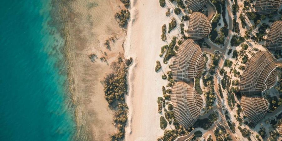 جزيرة شورى" تستقطب العائلات بعروض وتجارب مميزة