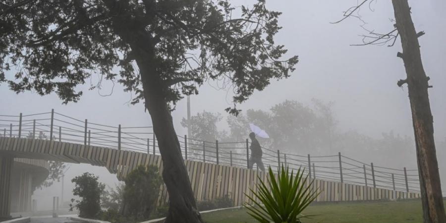 الحالة المطرية تعلق الدراسة الحضورية في بعض الجامعات ومدارس التعليم العام