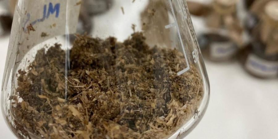 علماء «كاوست» يدرسون تطوير إنزيمات قادرة على تحليل البلاستيك