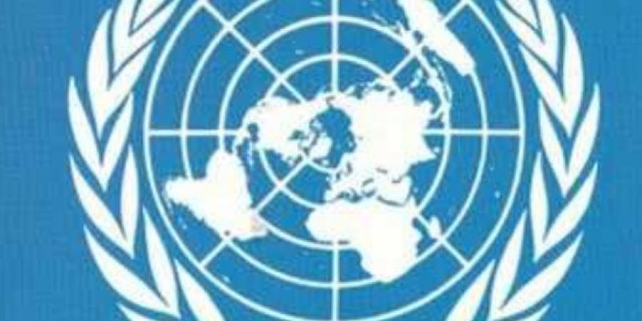 الأمم المتحدة: غزة “لا تحتمل حرباً جديدة” وقرار مجلس الأمن 2803 لا يحتمل التأجيل