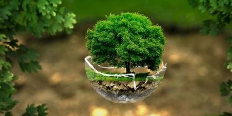 اتحاد شركات التأمين: التغيرات المناخية تفرض حلولا مبتكرة لحماية الاقتصاد