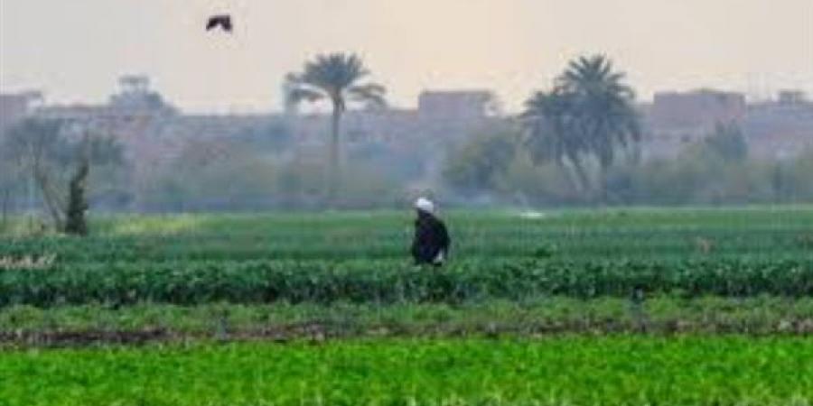 سحب تلطف الأجواء ونشاط للرياح، حالة الطقس غدا الثلاثاء