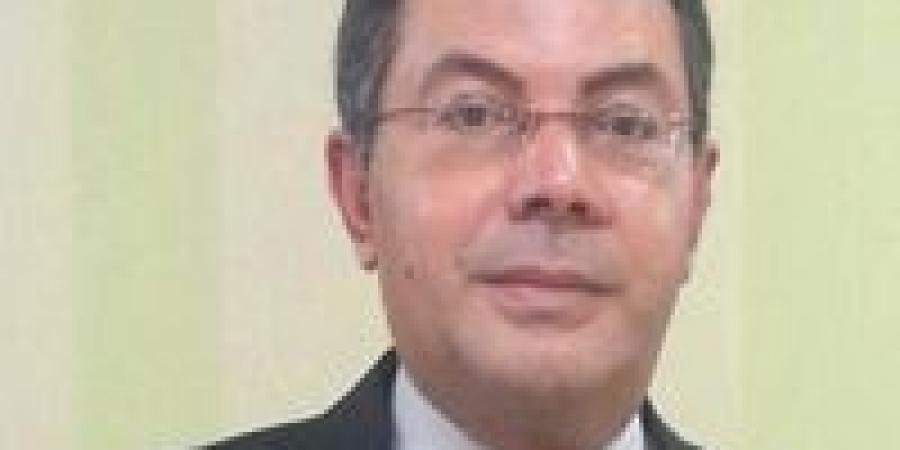 انتبهوا.. الفراخ ترجع إلى الخلف