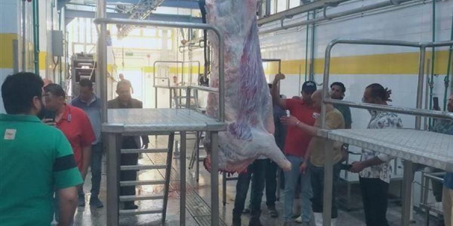 وزيرة التنمية المحلية تعلن التشغيل التجريبي لمجزر قلمشاة بالفيوم