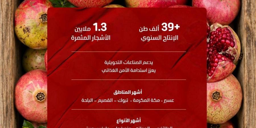 1.3 مليون شجرة رمان في المملكة تنتج 39.7 ألف طن خلال موسم الصيف