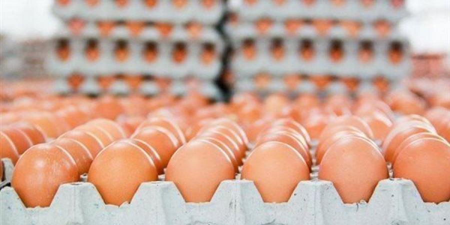 سعر كرتونة البيض اليوم الثلاثاء في بورصة الدواجن